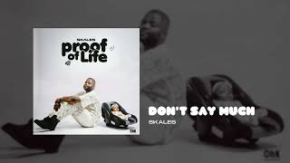 Skales  Dont Say Much Official Audio [upl. by Paddy]