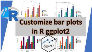 Customize Bar plot in R GGplot2 in 5 steps  Beautiful publication ready bar plot [upl. by Ardnasella53]