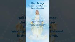 Hail Mary  Rosary Prayer  Rosary Tuesday  Sorrowful Mysteries  Ave Maria Piano Music hailmary [upl. by Kieffer]