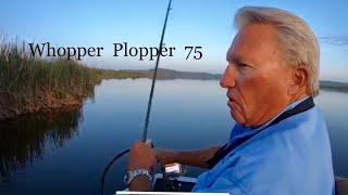 Its a great lureWhopper Plopper 75 [upl. by Nyletac]