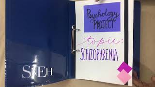 Psychology Project on Schizophrenia with Case Study [upl. by Ahsekyt871]