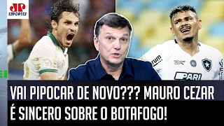 quotNUNCA DUVIDEM da capacidade do Botafogo de DAR UMA PIPOCADA E o Palmeirasquot Mauro Cezar É DIRETO [upl. by Brenk266]