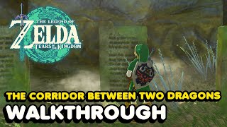 quotThe Corridor Between Two Dragonsquot Guide Zelda Tears of The Kingdom Investigate The Thyphlo Ruins [upl. by Ursala]