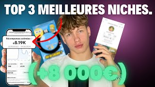 Les 3 MEILLEURES NICHES TIKTOK pour faire 8000€mois [upl. by Nref]