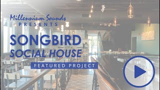 Project Highlight Songbird Social House [upl. by Etteinotna]