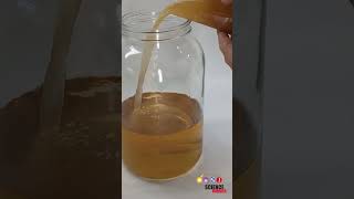 Make kombucha with different teas and sweeteners stem lifescience chemistry biology scoby [upl. by Jenny253]