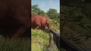 Bhaisi Le Malai Maryo thehunter thehuntercallofthewild short shorts [upl. by Eintruok]