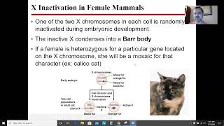 AP Biology Chapter 12 The Chromosomal Basis of Inheritance [upl. by Auohs]