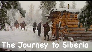 The Journey to Siberia  Bushcraft in Siberia  Wild cedar forests  Bears and Chipmunks [upl. by Maurizia]