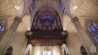 Saint Patricks Cathedral  Curbed Tours [upl. by Brunelle741]