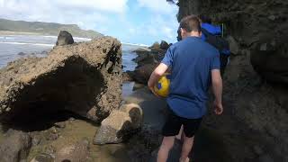 Exploring the stunning beauty of Bethells Beach part 5 🌊✨ BethellsBeach NZAdventures BeachVibes [upl. by Jehiel512]