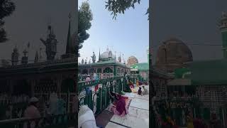 2024 sabir pakviralvideo shortvideokaliyarsharif sabirpak dargahsabirpak [upl. by Nrublim]