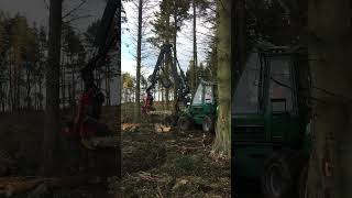 GREMO HARVESTER amp FORWARDER theforest harvesting logginglife tree forestry wood timber logs [upl. by Annerahs]