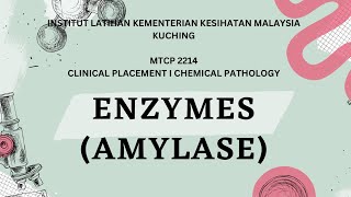 PRESENTATION ENZYMES AMYLASE SEMESTER 5 K22022 [upl. by Elbam]