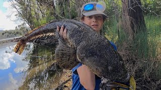 SAND FLAT FISHING FOR HUGE FLATHEAD [upl. by Gaven66]