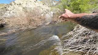 7 mile hike Littlerock dam [upl. by Phalan963]