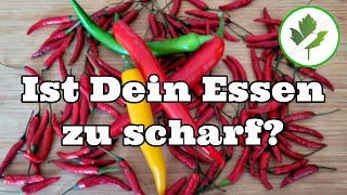 Ist Dein Essen zu scharf So rettest Du Dein Gericht  Essen entschärfen [upl. by Jamil]