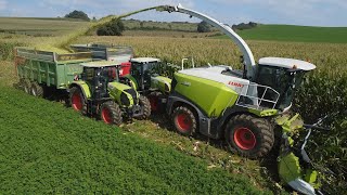 ENSILAGE DE MAÏS 2024 AU GAEC DU COLNET  CLAAS JAGUAR 930DUO CLAAS ARIONFENDT 724NEW HOLLAND T7 [upl. by Ylehsa7]