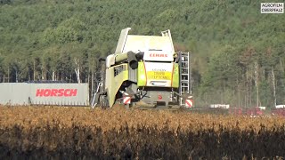 Soja dreschen mit Claas Lexion 7500 Terra Trac  Claas Convio 930  Maschinengemeinschaft Schwandorf [upl. by Enidlarej]