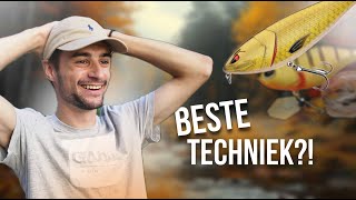 IS DIT DE BESTE TECHNIEK OM VEEL SNOEK TE VANGEN  Kunstaas challenge [upl. by Yenial]