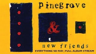 Pinegrove  Everything So Far FULL ALBUM STREAM [upl. by Kylila445]