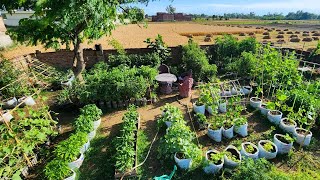 Beautiful Colorful and Bountiful Container Vegetable Garden Tour [upl. by Derte519]