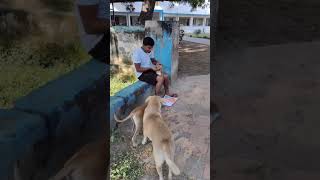 Ye Prabhu mane ki aap ho trending viralsubscribe iphone dog petsfunny musicshorts ytshorts [upl. by Bunow]