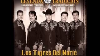 LOS Tigres Del Norte La Bronco negra [upl. by Etiuqal481]