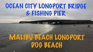 OCEAN CITY LONGPORT BRIDGE amp Fishing Pier Plus MALIBU BEACH LONGPORT Dog Beach  Photo Book Series [upl. by Lliw63]