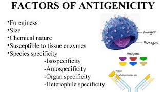 Antigenicity factors [upl. by Animor176]