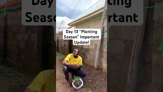 Planting Season version 1 Day 13 Important Update gardening asmr Agriculture newseries [upl. by Anaitak]