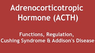 Adrenocorticotropic Hormone ACTHFunctions Regulation Cushing Syndrome amp Addisons Disease ENG [upl. by Anairo]