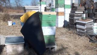 Beekeeping How To Wrap Your Bee Hive For Winter [upl. by Ahsya]