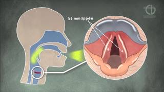 ChorVerband NRW Tutorial Stimmbildung Animation [upl. by Adlev]