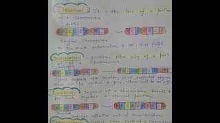 The Wild World of Chromosomal Mutations [upl. by Rolfston]