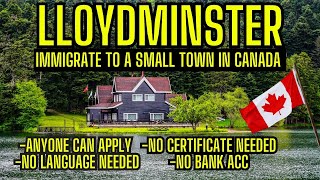 immigrate to Canada without job offer  Immigrate to Lloydminster town  immigration canada [upl. by Yelad944]