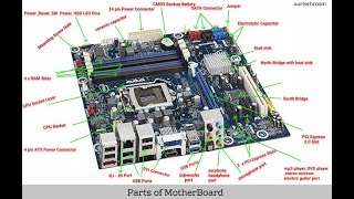 Mastering Motherboards Understanding the Parts MotherboardAnatomy 👨‍💻 [upl. by Kurtis157]