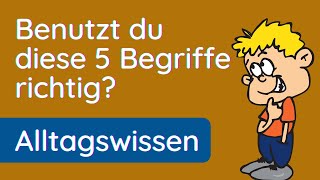 5 Begriffe richtig verwenden ✅ Apathie Metapher Faszination Ambiguität Dissonanz [upl. by Siramad]