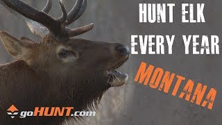 Hunt Elk Every Year Montana and the goHUNT INSIDER [upl. by Tager]