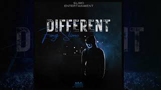 Fong Slimo Different Official Audio [upl. by Bonine]