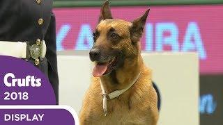 RAF Display Team Perform at Crufts 2018 [upl. by Tillio]