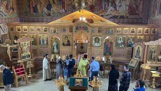 Ninth Sunday after Pentecost Divine Liturgy 862023 [upl. by Leitnahs]