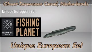 Unique European Eel  GhentTerneuzen Canal Netherlands  Fishing Planet Guide [upl. by Kaplan]