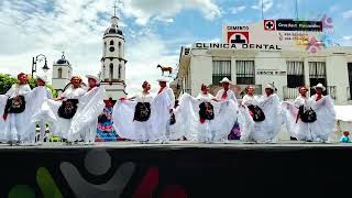 El Tilingo Lingo Veracruz por la Compañía de Danza Folklórica de la Universidad Cristóbal Colón [upl. by Abehsile]