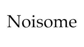 How to Pronounce Noisome [upl. by Gahan]