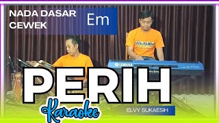 Perih karaoke  elvi sukaesih nada cewek Em versi koplo [upl. by Ainahs547]