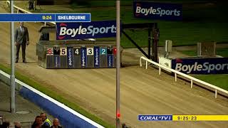 Irish Greyhound Derby Final 2022 [upl. by Eniger468]