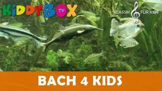 Mozart Bach Chopin  Klassik für Kinder  Unterwasservergnügen KIDDYBOXTV [upl. by Hound]