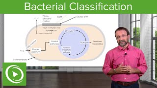 Bacterial Classification Heterotrophs Chemoautotrophs amp Photoautotrophs – Microbiology  Lecturio [upl. by Adnawed]