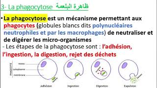 3AC  Limmunité Partie 2  Limmunité non spécifique naturelleinnée [upl. by Gillian]